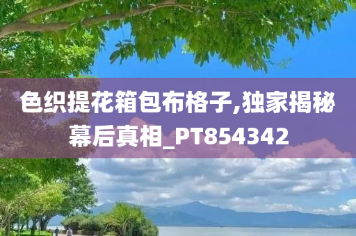 色织提花箱包布格子,独家揭秘幕后真相_PT854342