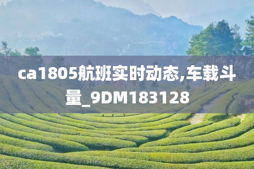 ca1805航班实时动态,车载斗量_9DM183128