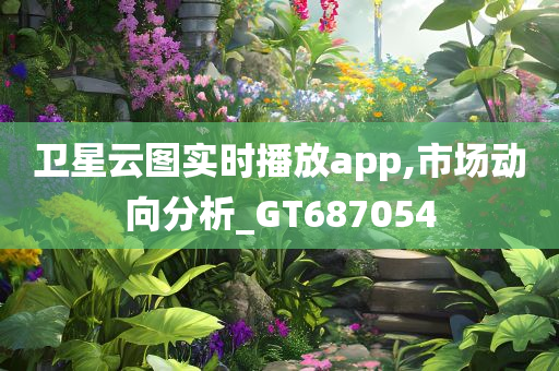 卫星云图实时播放app,市场动向分析_GT687054