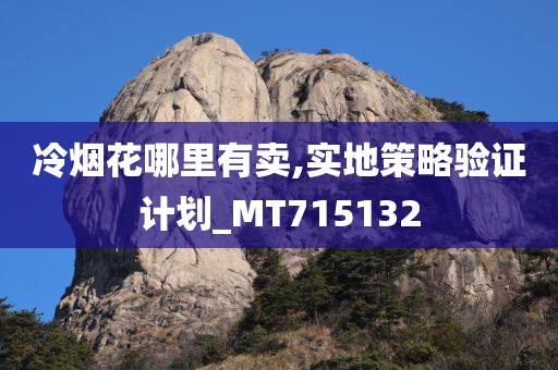 冷烟花哪里有卖,实地策略验证计划_MT715132