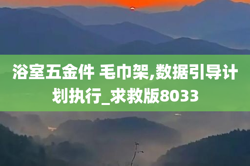 浴室五金件 毛巾架,数据引导计划执行_求救版8033