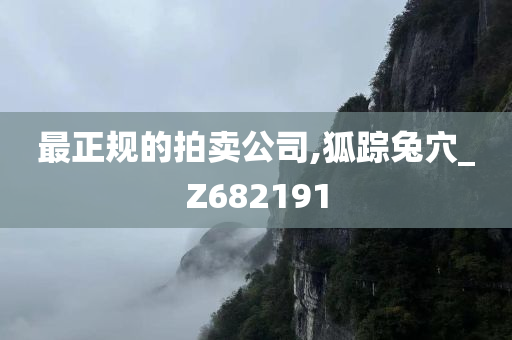 最正规的拍卖公司,狐踪兔穴_Z682191