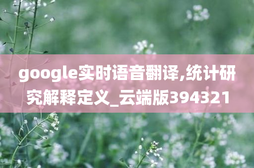 google实时语音翻译,统计研究解释定义_云端版394321