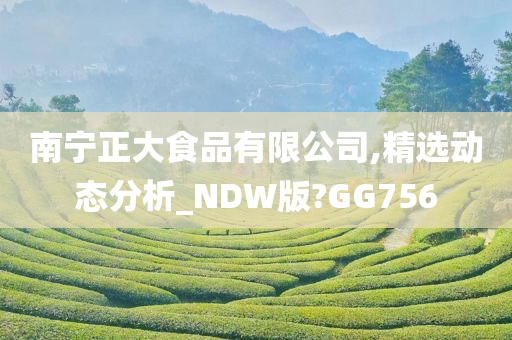 南宁正大食品有限公司,精选动态分析_NDW版?GG756