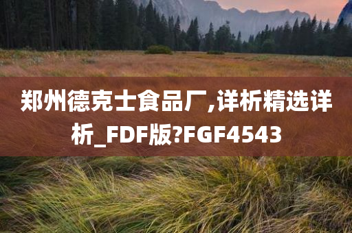 郑州德克士食品厂,详析精选详析_FDF版?FGF4543