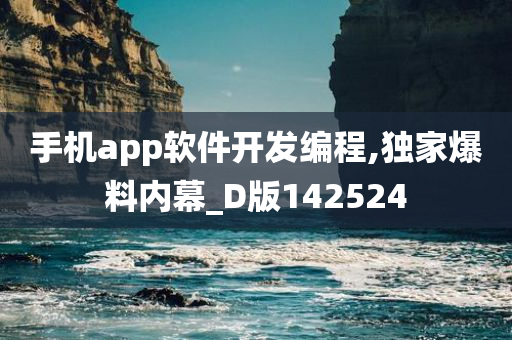 手机app软件开发编程,独家爆料内幕_D版142524