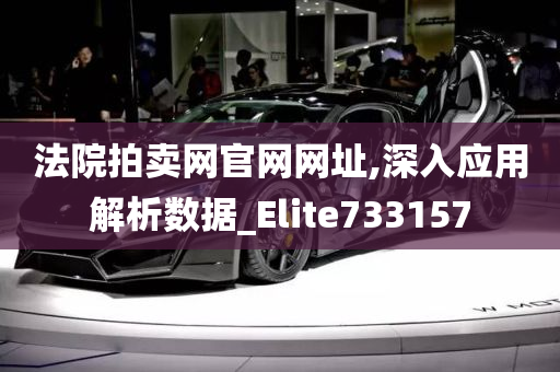 法院拍卖网官网网址,深入应用解析数据_Elite733157