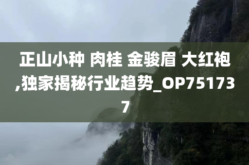 正山小种 肉桂 金骏眉 大红袍,独家揭秘行业趋势_OP751737