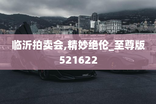 临沂拍卖会,精妙绝伦_至尊版521622