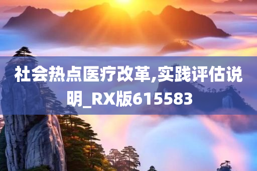 社会热点医疗改革,实践评估说明_RX版615583