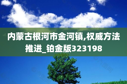 内蒙古根河市金河镇,权威方法推进_铂金版323198