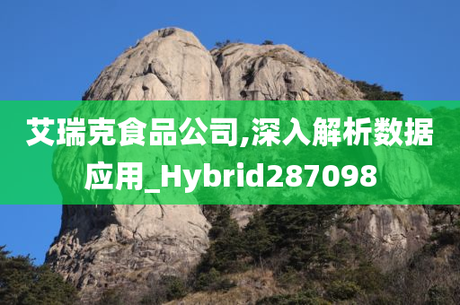 艾瑞克食品公司,深入解析数据应用_Hybrid287098