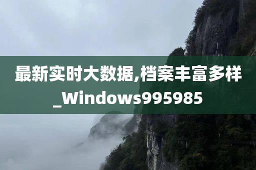 最新实时大数据,档案丰富多样_Windows995985