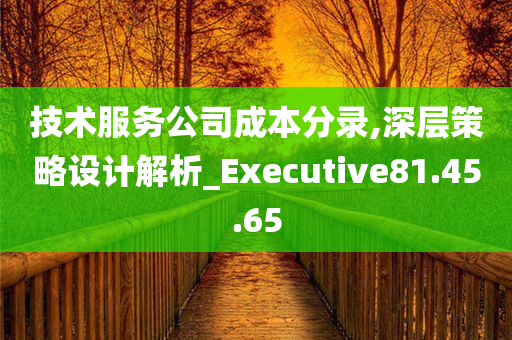 技术服务公司成本分录,深层策略设计解析_Executive81.45.65