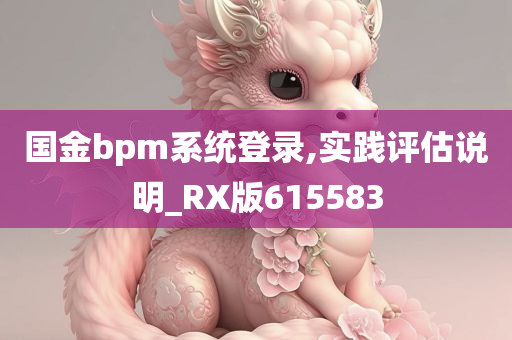 国金bpm系统登录,实践评估说明_RX版615583