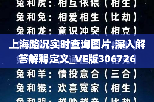 上海路况实时查询图片,深入解答解释定义_VE版306726