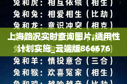 上海路况实时查询图片,适用性计划实施_云端版866676