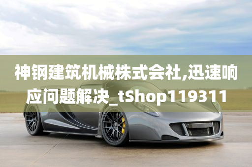 神钢建筑机械株式会社,迅速响应问题解决_tShop119311