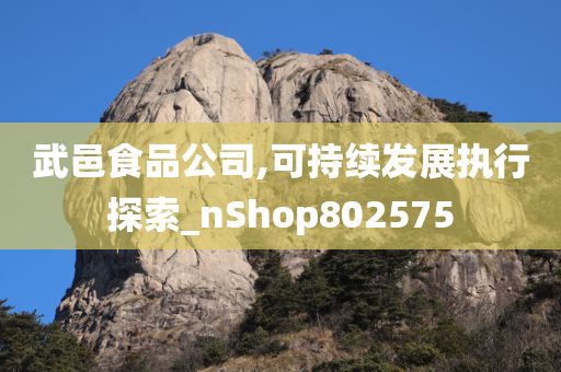 武邑食品公司,可持续发展执行探索_nShop802575