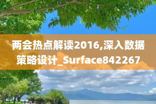 两会热点解读2016,深入数据策略设计_Surface842267