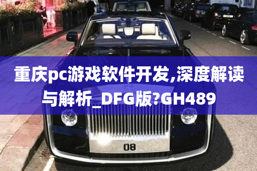 重庆pc游戏软件开发,深度解读与解析_DFG版?GH489