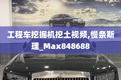 工程车挖掘机挖土视频,慢条斯理_Max848688