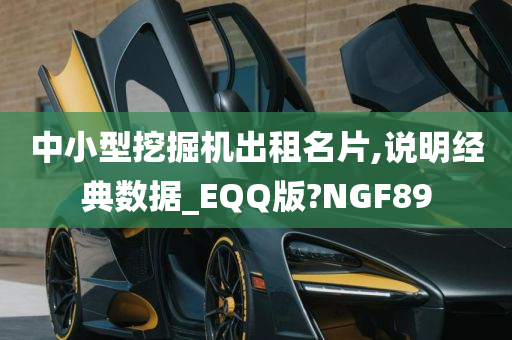 中小型挖掘机出租名片,说明经典数据_EQQ版?NGF89