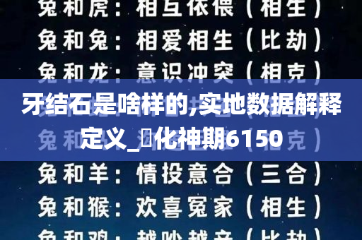 牙结石是啥样的,实地数据解释定义_‌化神期6150