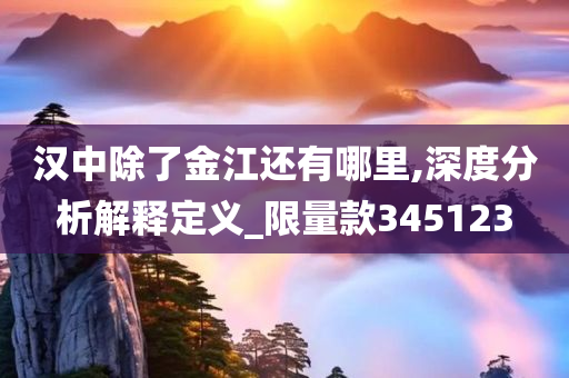 汉中除了金江还有哪里,深度分析解释定义_限量款345123