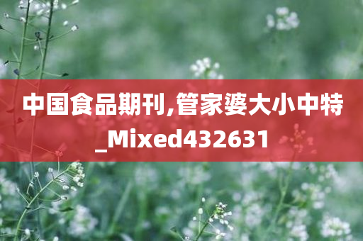 中国食品期刊,管家婆大小中特_Mixed432631