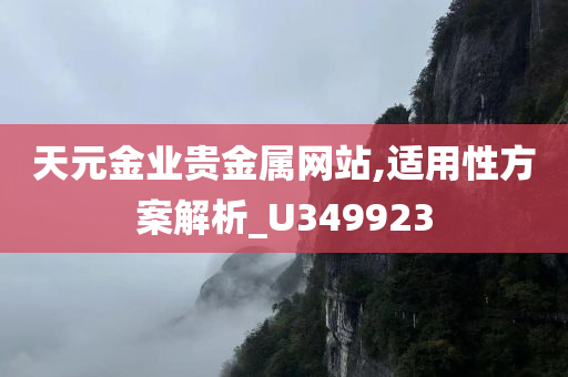 天元金业贵金属网站,适用性方案解析_U349923