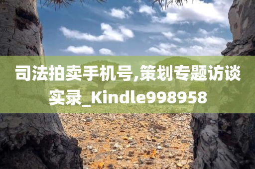 司法拍卖手机号,策划专题访谈实录_Kindle998958