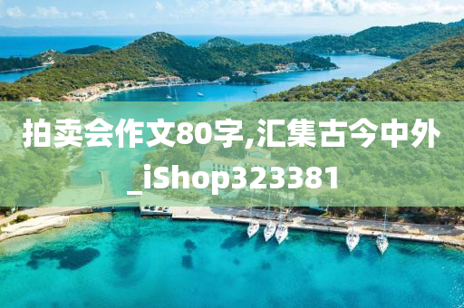 拍卖会作文80字,汇集古今中外_iShop323381