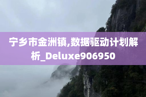 宁乡市金洲镇,数据驱动计划解析_Deluxe906950