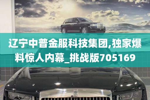 辽宁中普金服科技集团,独家爆料惊人内幕_挑战版705169