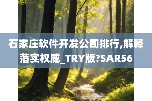 石家庄软件开发公司排行,解释落实权威_TRY版?SAR56