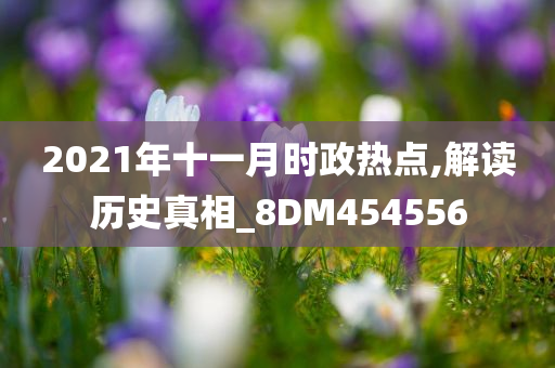 2021年十一月时政热点,解读历史真相_8DM454556