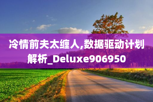 冷情前夫太缠人,数据驱动计划解析_Deluxe906950