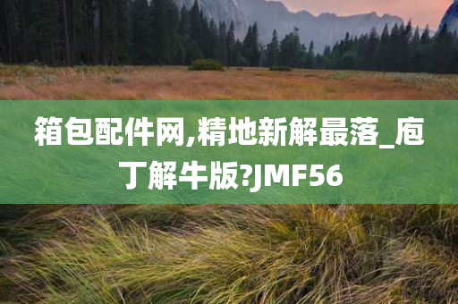 箱包配件网,精地新解最落_庖丁解牛版?JMF56