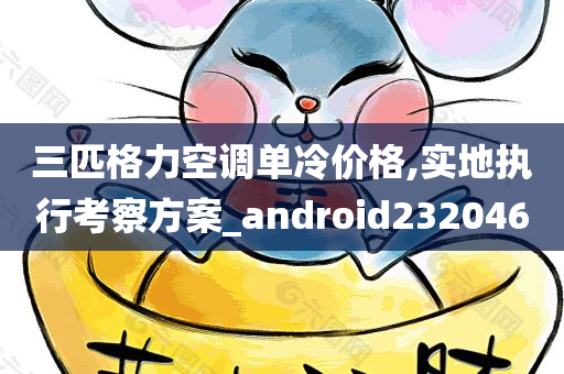 三匹格力空调单冷价格,实地执行考察方案_android232046