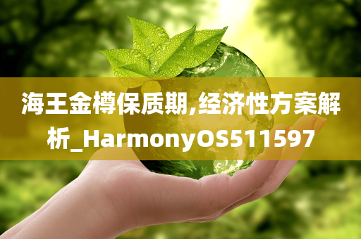 海王金樽保质期,经济性方案解析_HarmonyOS511597