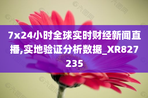 7x24小时全球实时财经新闻直播,实地验证分析数据_XR827235