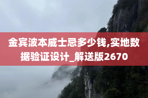 金宾波本威士忌多少钱,实地数据验证设计_解送版2670