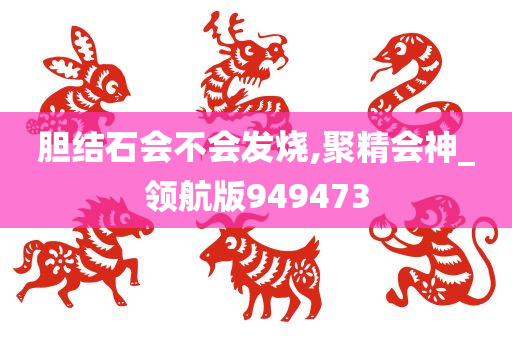 胆结石会不会发烧,聚精会神_领航版949473