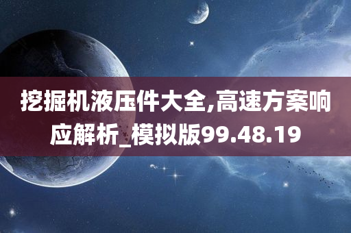 挖掘机液压件大全,高速方案响应解析_模拟版99.48.19