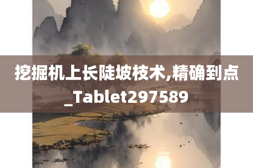 挖掘机上长陡坡枝术,精确到点_Tablet297589