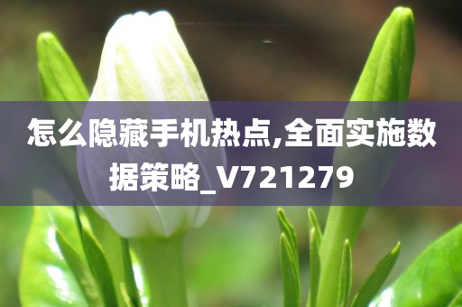 怎么隐藏手机热点,全面实施数据策略_V721279