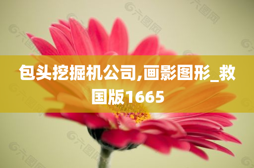 包头挖掘机公司,画影图形_救国版1665