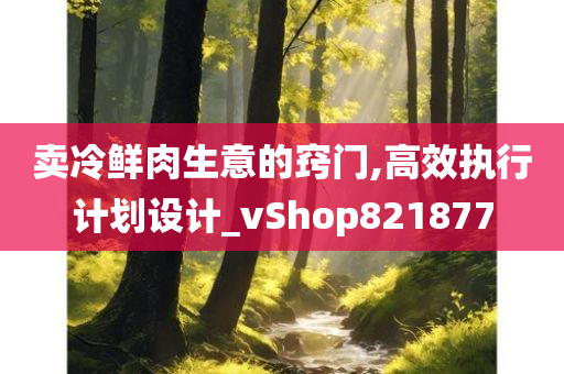 卖冷鲜肉生意的窍门,高效执行计划设计_vShop821877