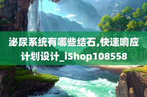 泌尿系统有哪些结石,快速响应计划设计_iShop108558